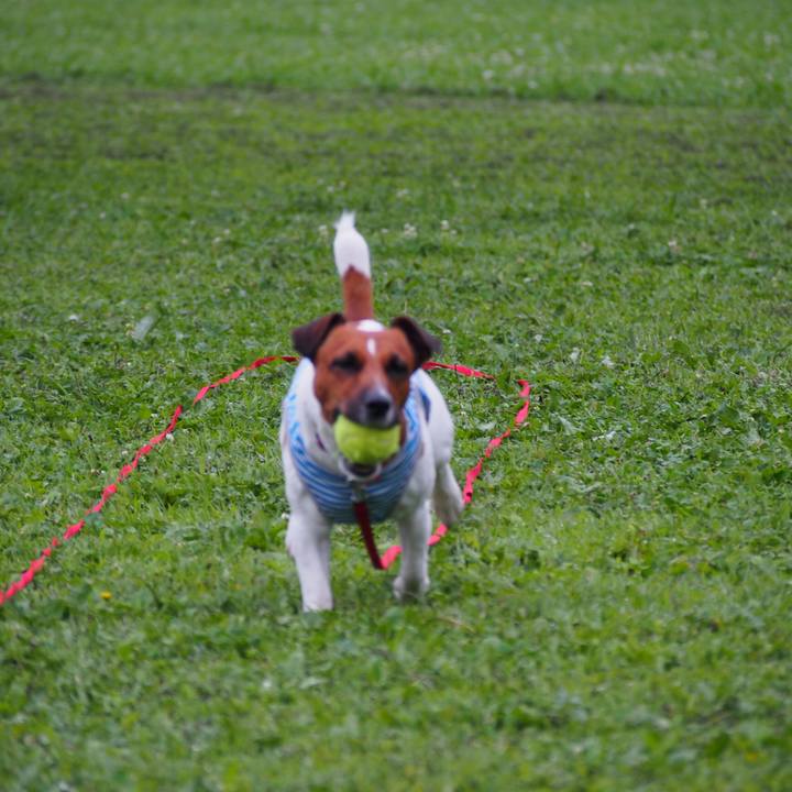 Dbda4392 86dd 4c17 893a 31e9e3a0180f