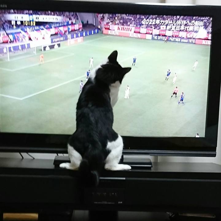 Dbda84ce d134 43f9 95d7 61c6c1c9393f