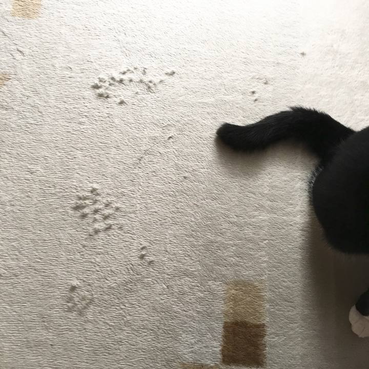 Dbdb54a2 8d5f 4ded 8468 e960d1ca8291