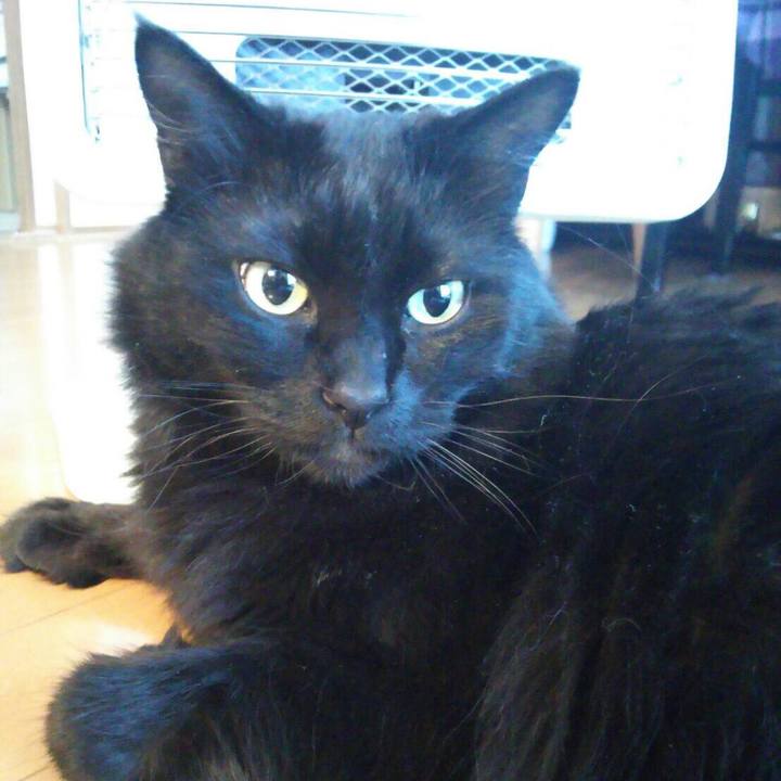 Dbdbe059 05fa 4086 b83e 77935dd3c2fe