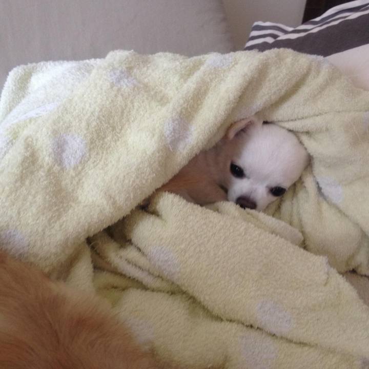 Dbdc650d aaf2 4869 9e4c 149d6136c982