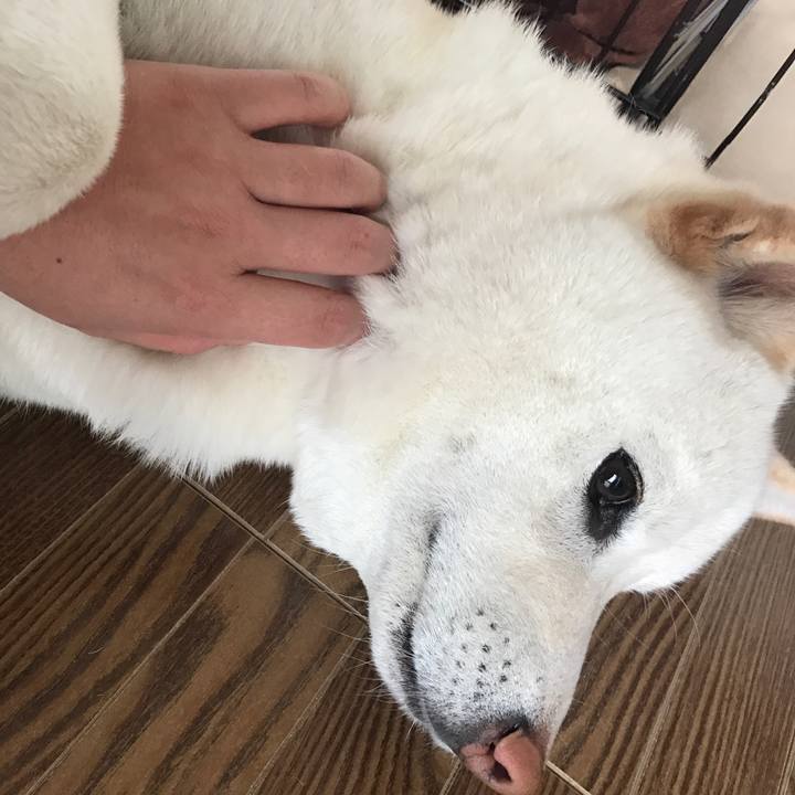 Dbdc8bb8 7d3a 47b6 a31b d018a5e71b13