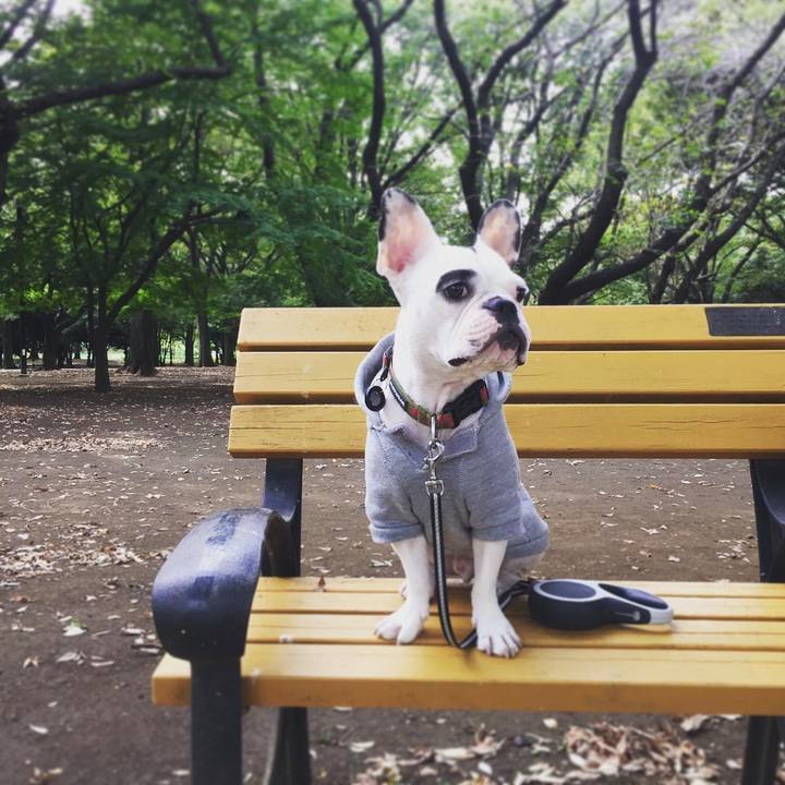 Dbdd50ef 3eb8 420b a114 766b6b2dfa44