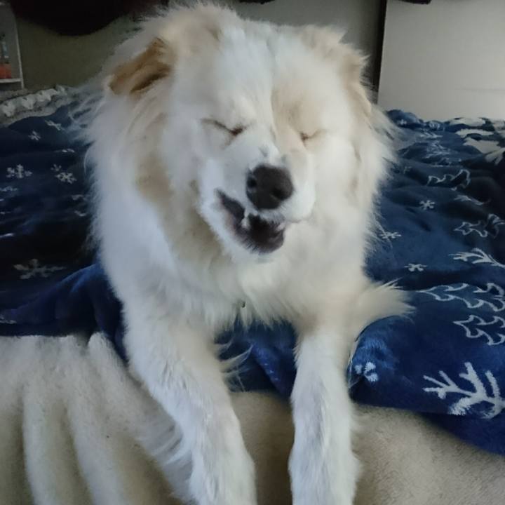 Dbdd94cd 34c0 4268 b124 bec24cfc6d60