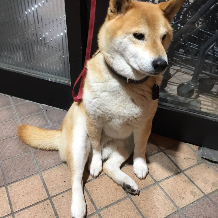 Dbdd9e99 a364 4672 a2e6 9eaf82cb9b8c