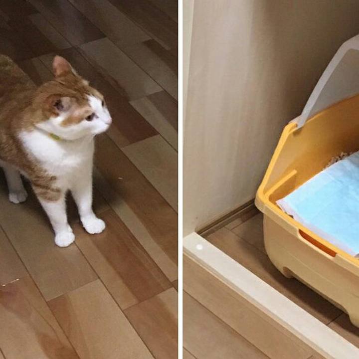 Dbe01700 d001 49d0 87a3 4a90d7b61aad