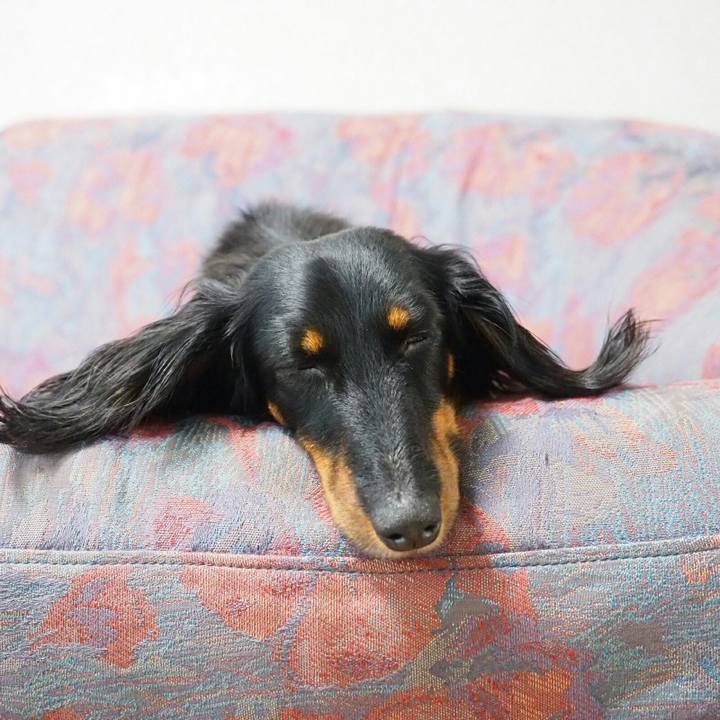 Dbe0293e 535b 4c3d 9d83 da726b53ef6c