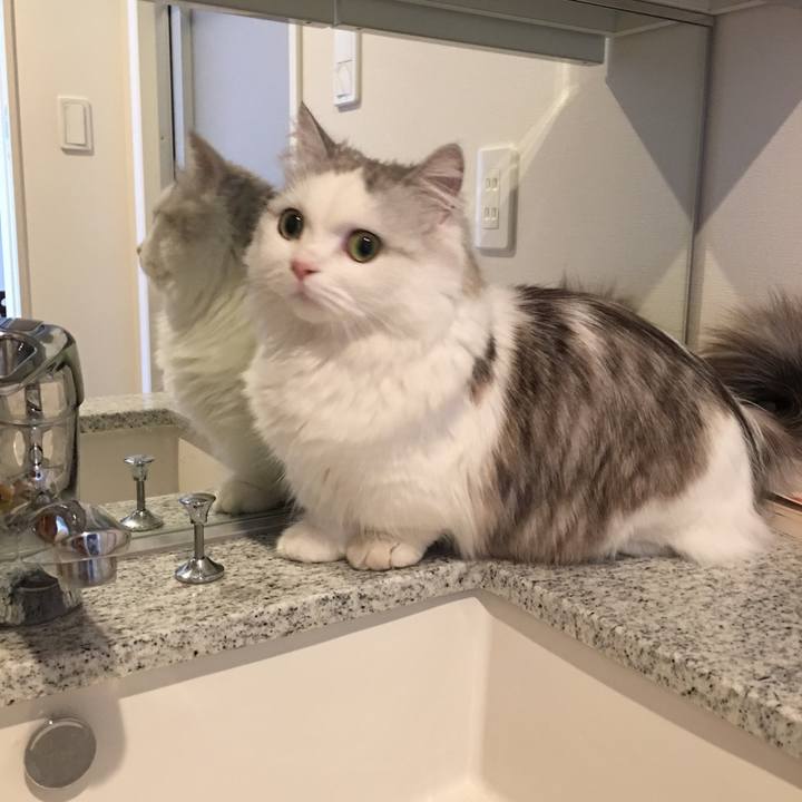 Dbe0441c e809 4291 8937 c97ed14b2ce1