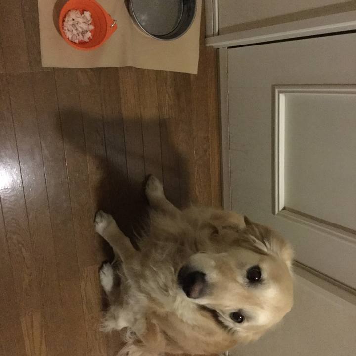 Dbe04609 d4c5 4698 92f8 963d4dd7850f