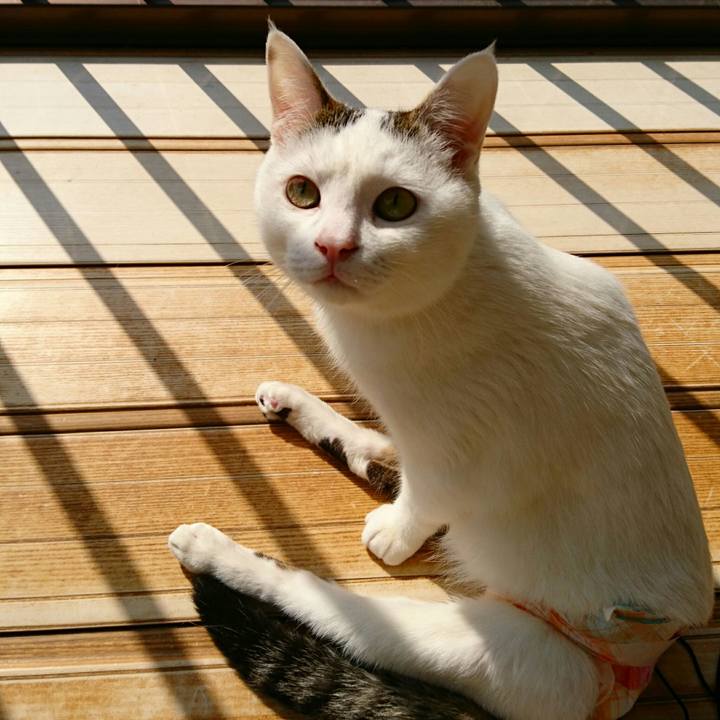 Dbe0e3f2 90cd 45af bf5c 8286deb4dec2