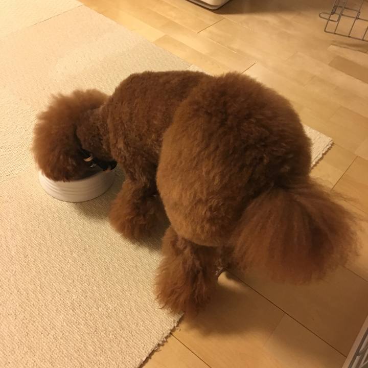 Dbe10ca9 2162 4e77 b4a3 48c98a79f743