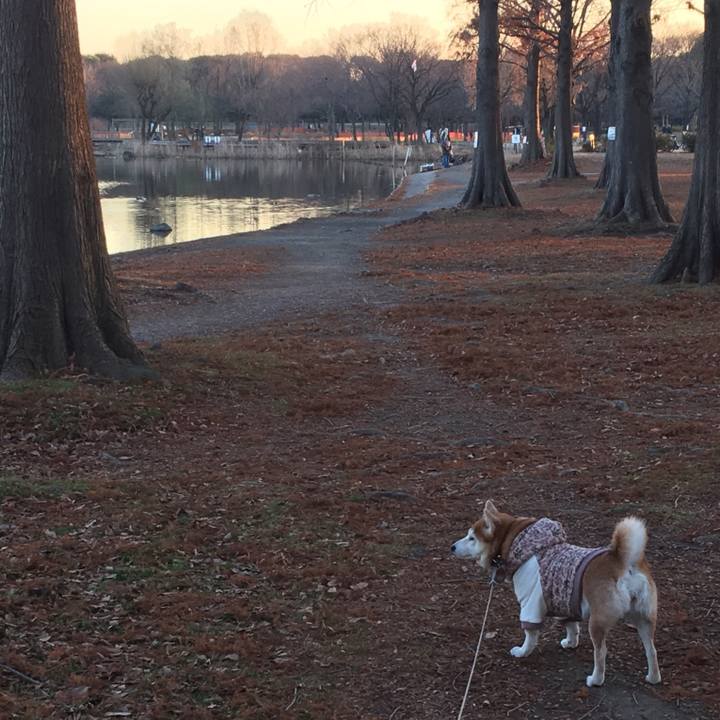 Dbe1b630 46b8 40ad afb0 dfeb1e13c290