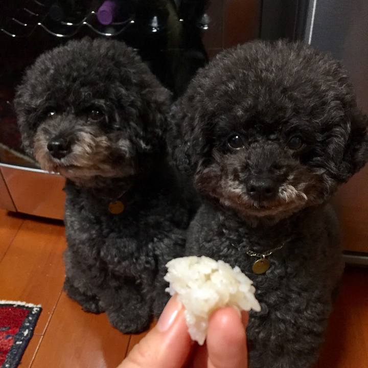 Dbe1eb73 0e08 4f94 9b0d c175c48adda8