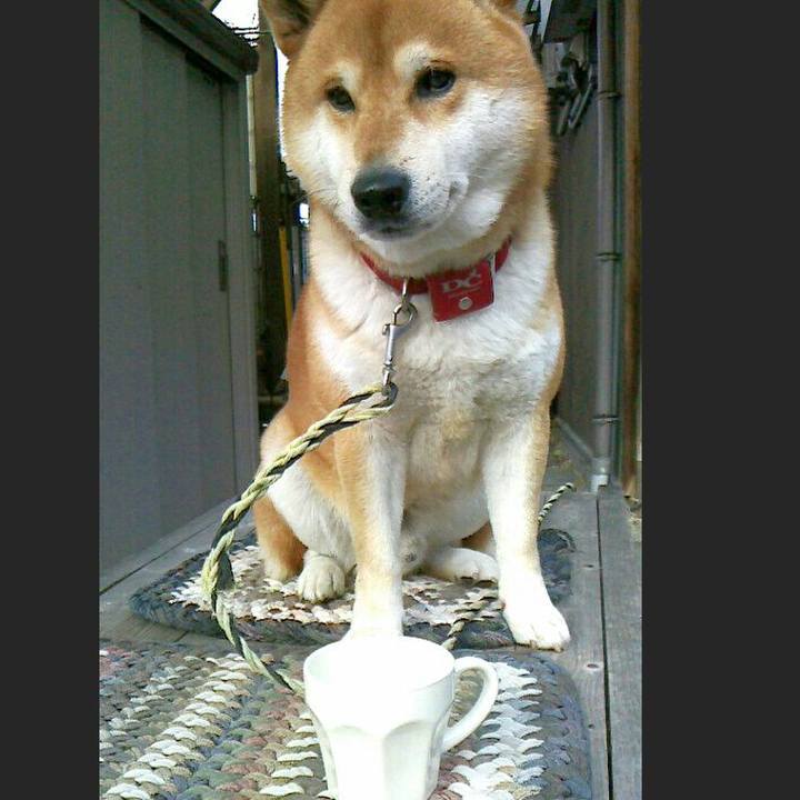 Dbe20982 1745 4965 a7b9 3878dc0fae78