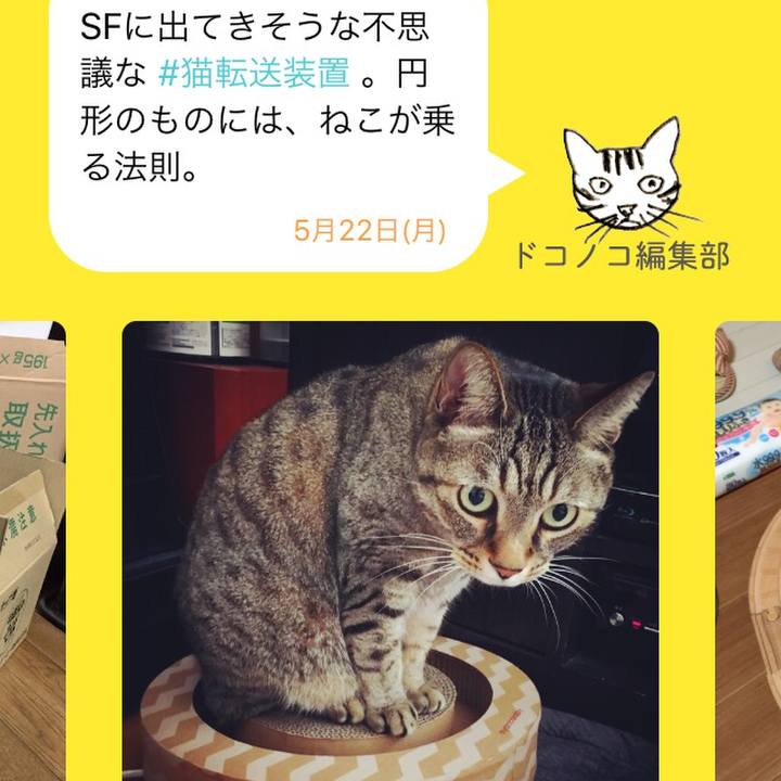 Dbe3143b f3c4 4256 b084 fb35bd2113ac