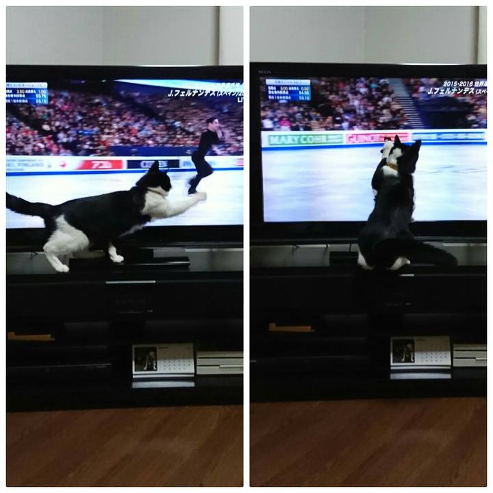 Dbe38ea7 1d2c 4785 a3ba ea3c6f4e30cb