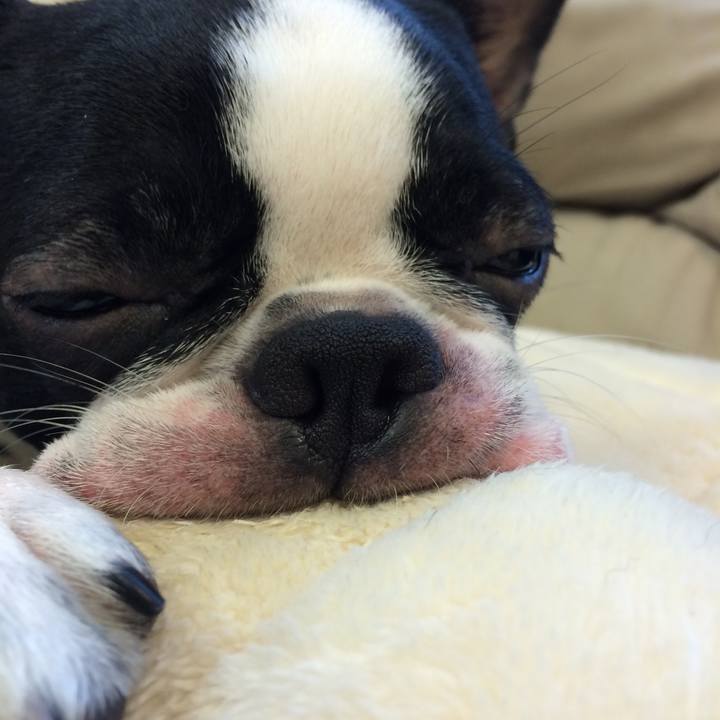 Dbe39136 ce02 46d7 ab5b 6cfd9a9cdd61