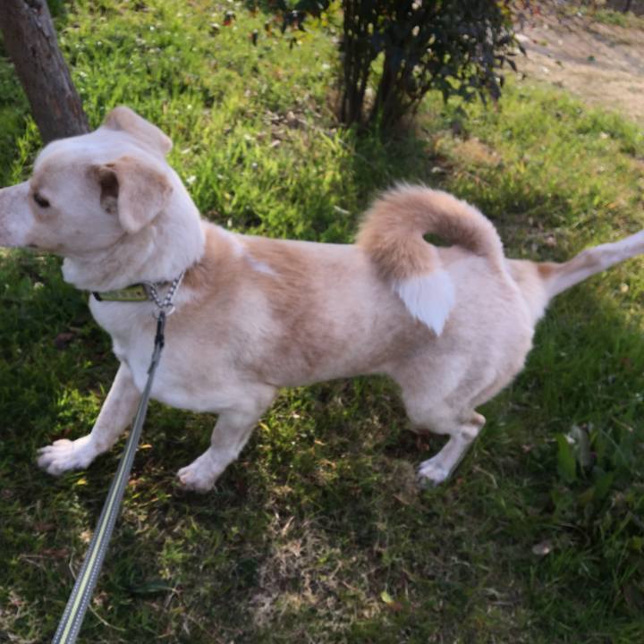 Dbe46614 0f87 40d1 ae5b 8b8f23399182