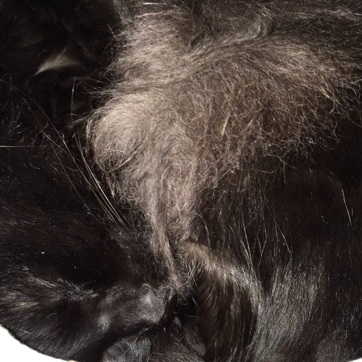 Dbe4af6f 7747 4837 bcaa 72261b480383