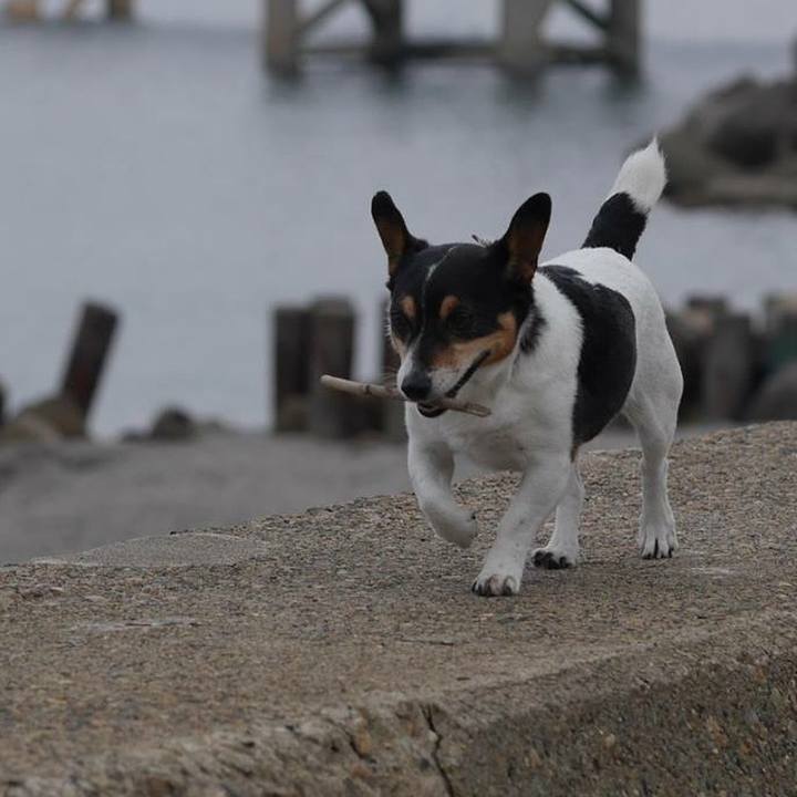 Dbe538ef 3fd7 43fe a051 77f4f137dc80