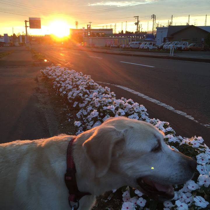 Dbe63dc8 7699 4b2e aee5 19c71ac82185