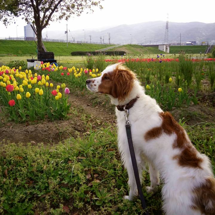 Dbe7b50a 52b8 40d6 9cbc 01c6c8726653