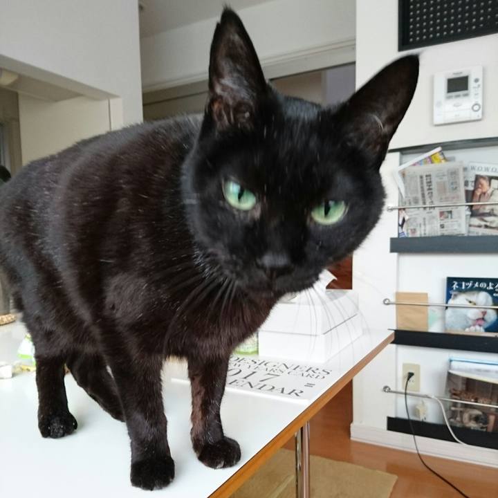 Dbe86d96 9884 44b6 97d7 e9eb71085e72