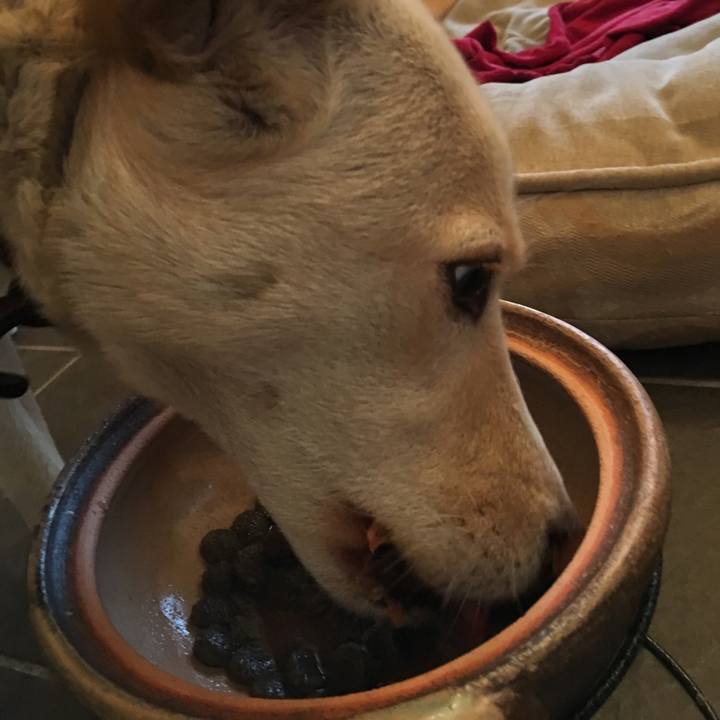 Dbe8cce7 564d 4bd0 99b5 23d11719f38a