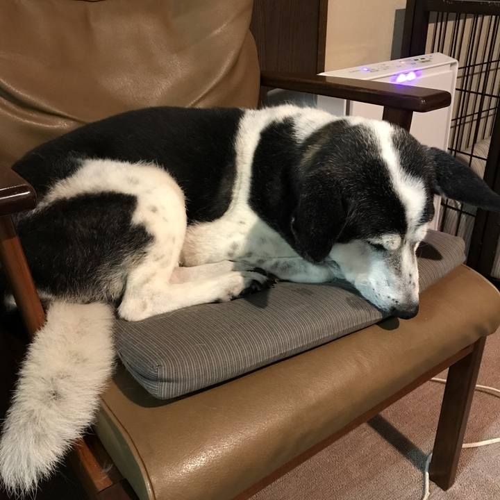 Dbe90311 4d54 4a7d b2e1 547e001bd327