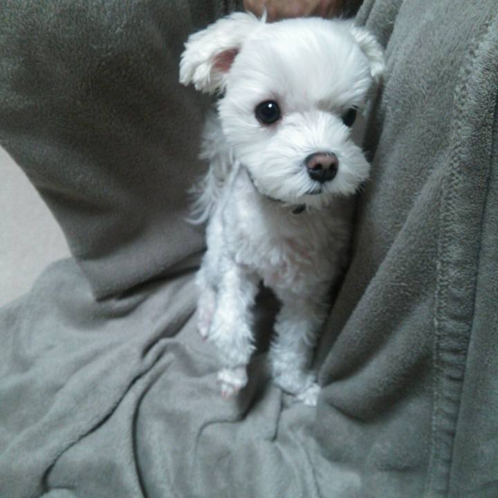 Dbe91458 5fa2 4172 b5f7 78f82e38ae3b