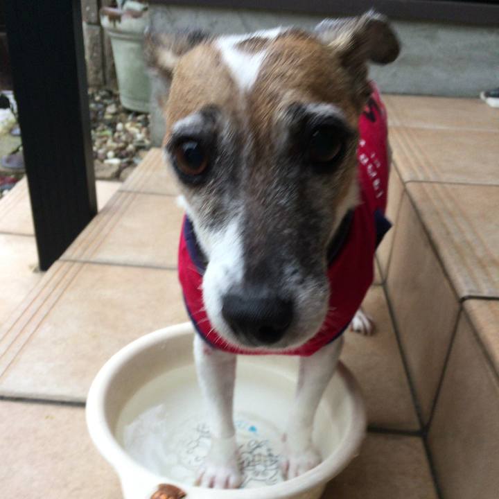 Dbe96026 39fe 4a0b 9b77 b981bc1eec49