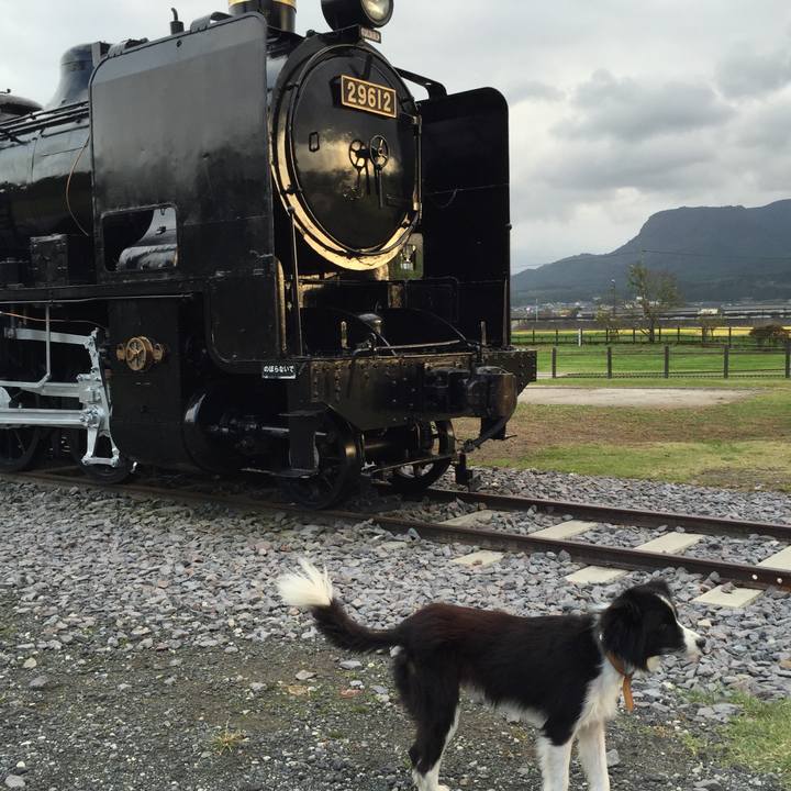 Dbe9da2d bdf1 4165 9633 7b07d33b1cae