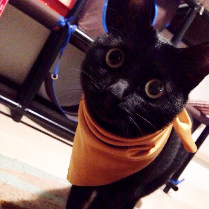 Dbea889c 1cf8 4666 8111 b81afb81d25f