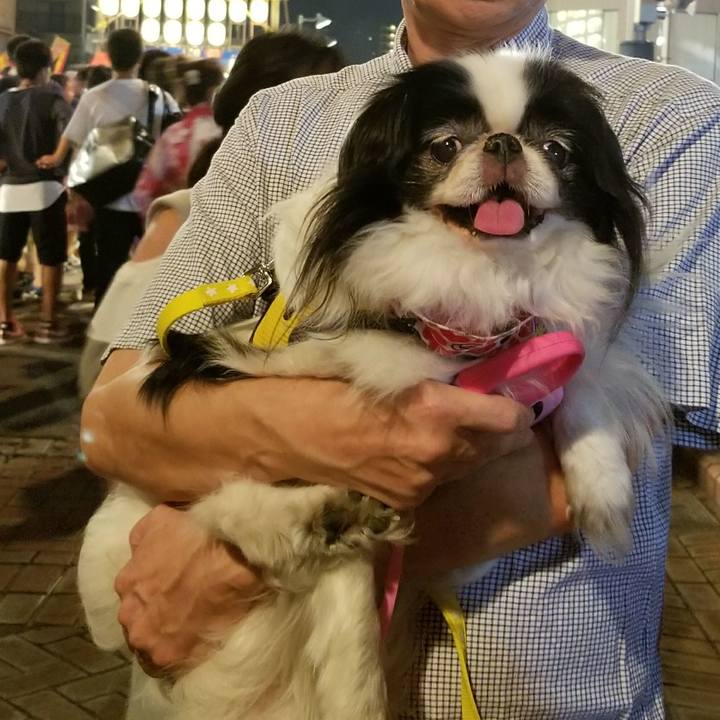 Dbea92b5 9431 473a aeb4 784f8fa8deb4