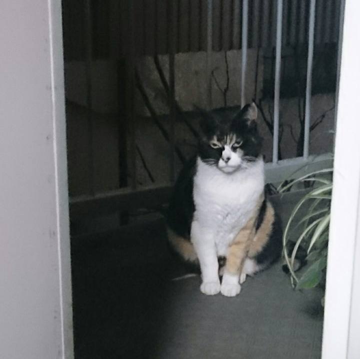 Dbeadc51 a4d6 46f4 b87f 09d9de63b16c