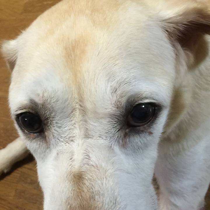 Dbeaef3b 05b6 4346 9d9d f48a943fd3d2