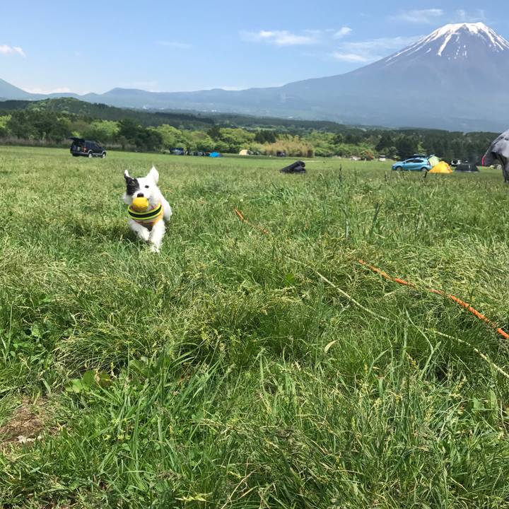 Dbeb3a96 7188 4e04 aded 7c7928cd441d