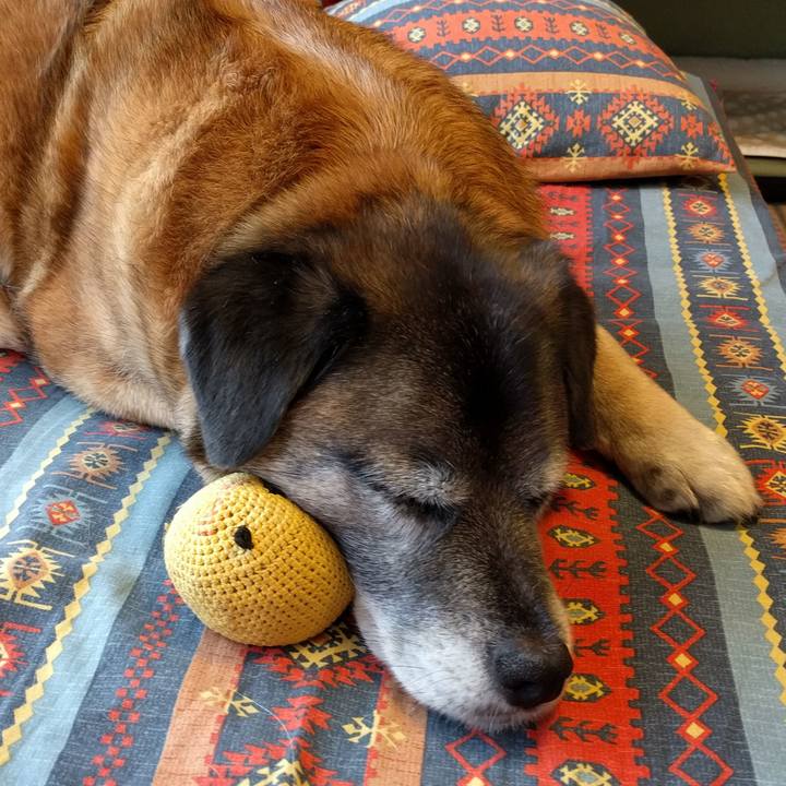 Dbeb4352 7f25 4858 ab41 21f7af29fd08