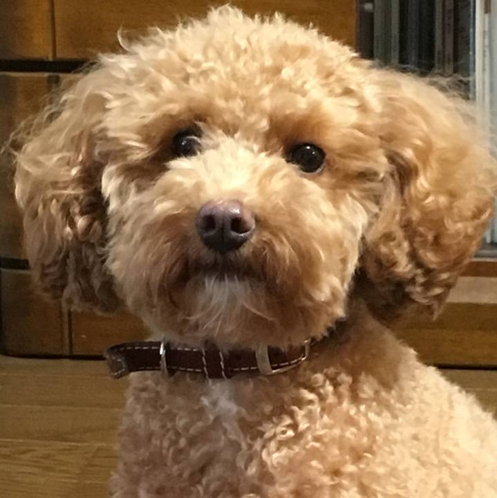 Dbeb526d cac4 4d5e 8664 a0b962fa44fe