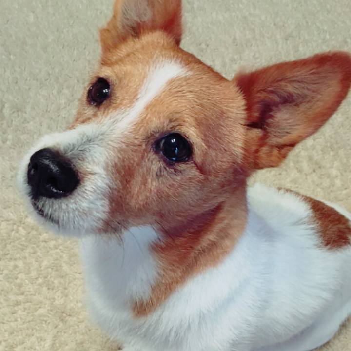 Dbec1ee4 99b4 47b8 aa9f 7469cfd89253