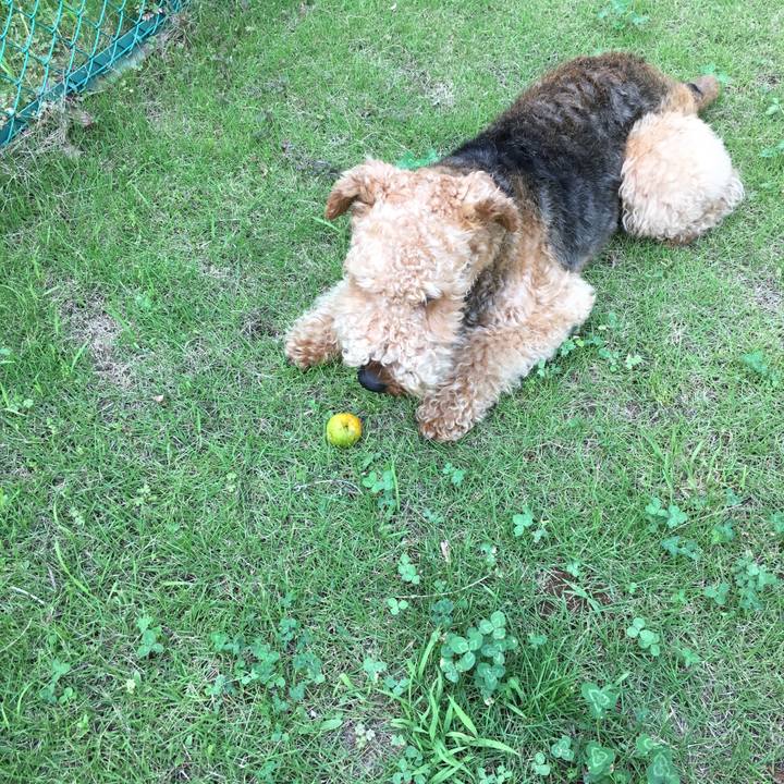 Dbec45de 25d5 496f aee4 eedcdac679dd