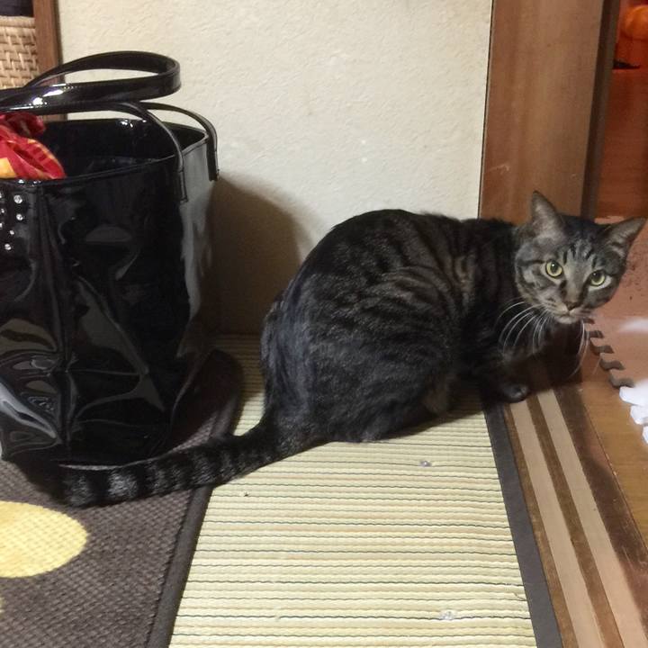 Dbec7469 b111 44bb af4a 24637376e87e