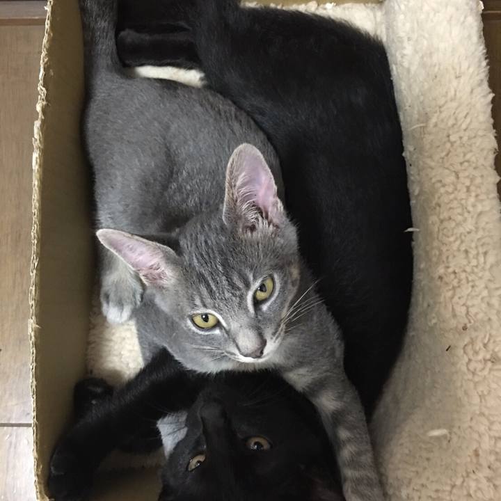 Dbee3b34 d8b3 4f1b 9683 44ea74d42400