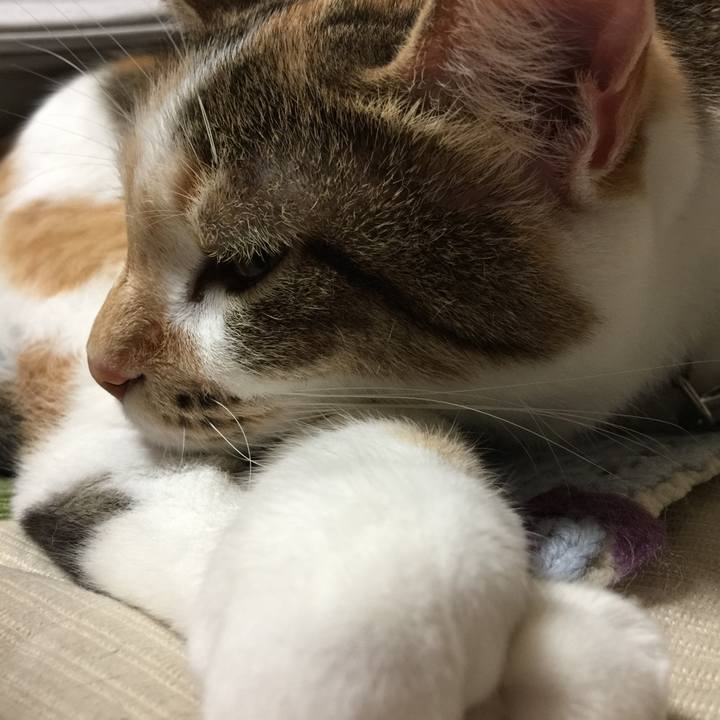 Dbee6b2f 8313 496a b09b e69cd610870a