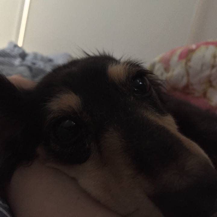 Dbef0511 5bb6 4901 af16 1cda60963a5e