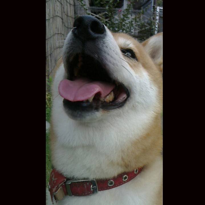 Dbef3f81 a8b0 49aa b0d5 4459c3df88d7