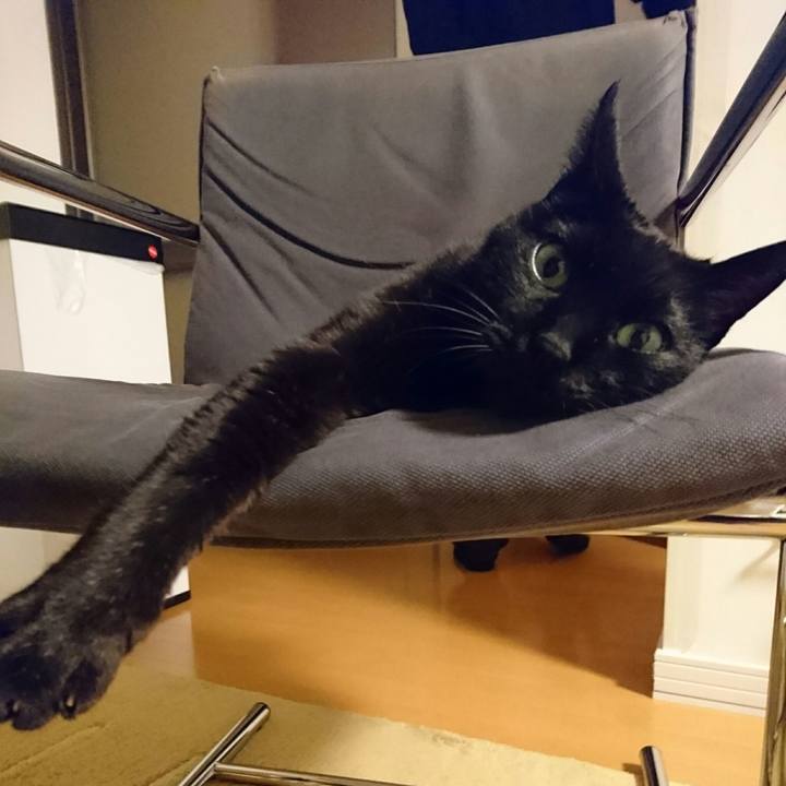 Dbefd1de bfe1 4526 9da7 3d2aae240fd5