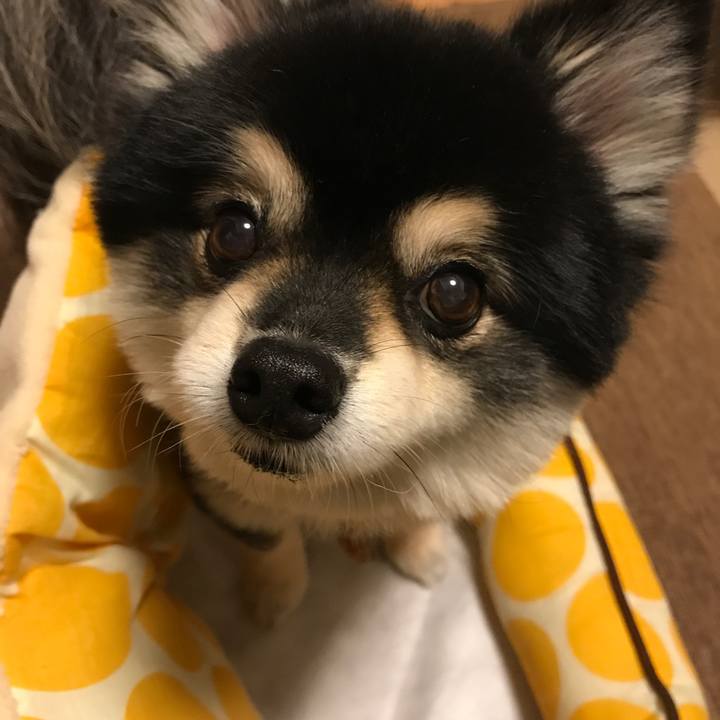 Dbf00756 be73 43e6 ab74 c9cc5c5d7dea