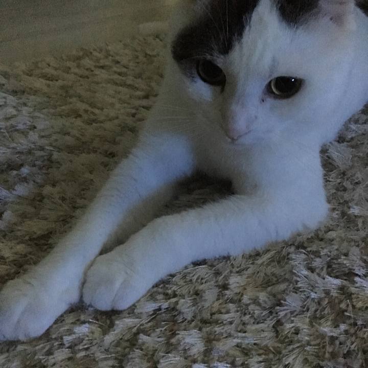 Dbf0b06b 155d 4898 8676 13350200363f