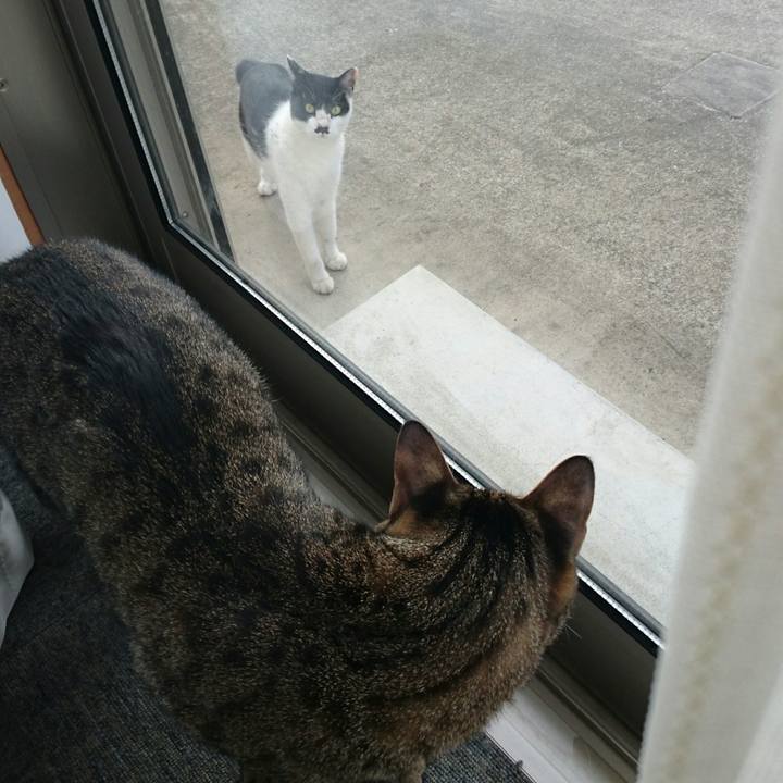 Dbf11bc9 9b48 4b0d 8337 f8aec2fe88e1